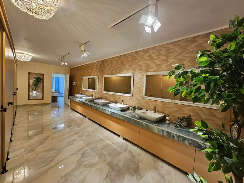 Grupuri sanitare cu finisaje elegante